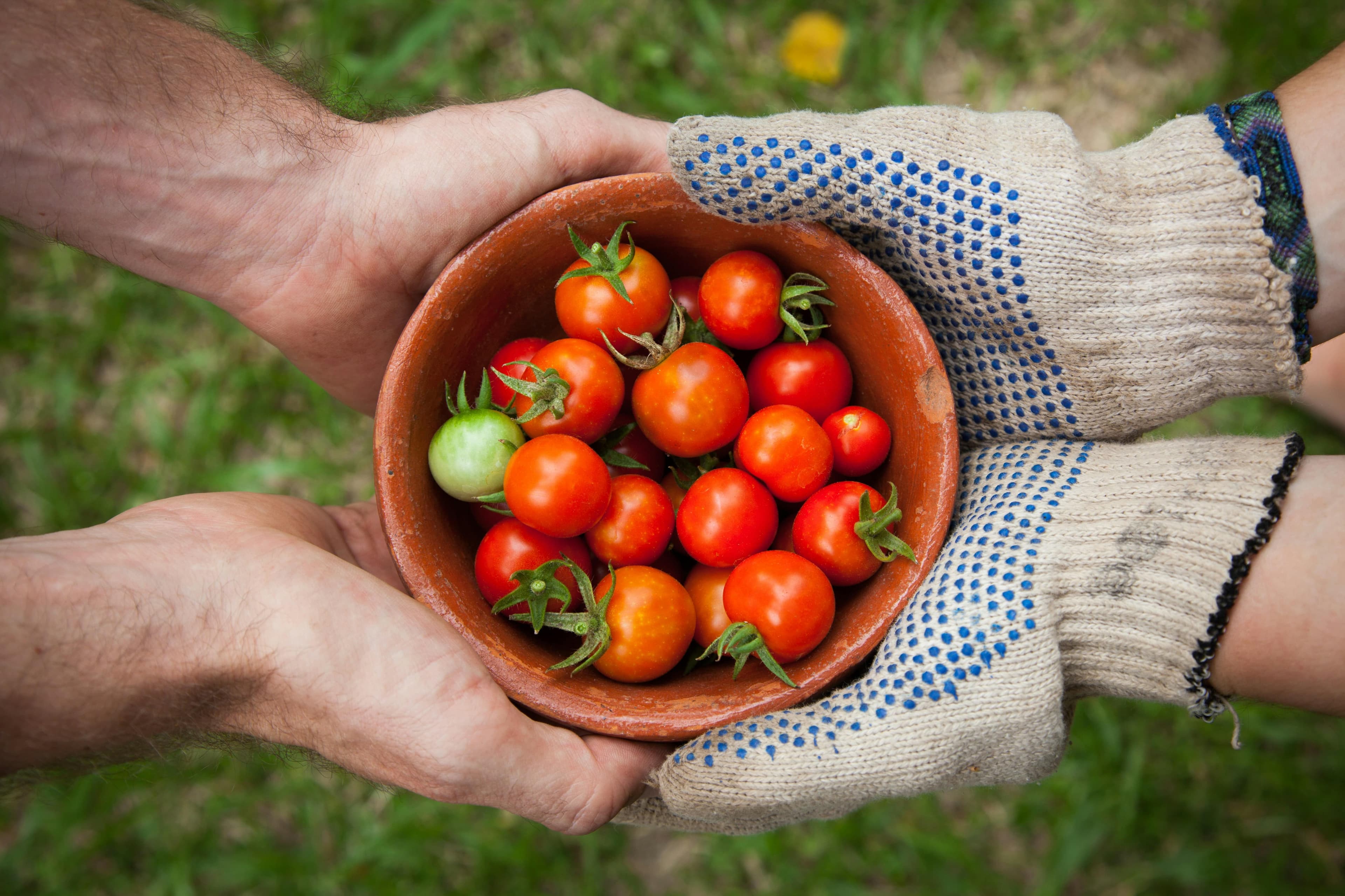 people exchanging vegetables